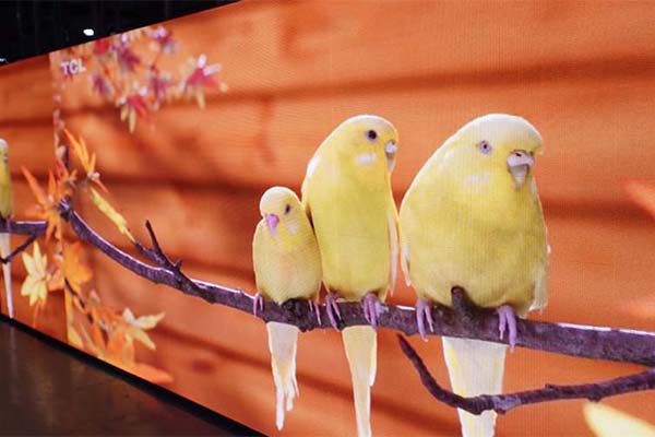 TLI LED P4.81mm outdoor Rental LED screen TRE1000-main