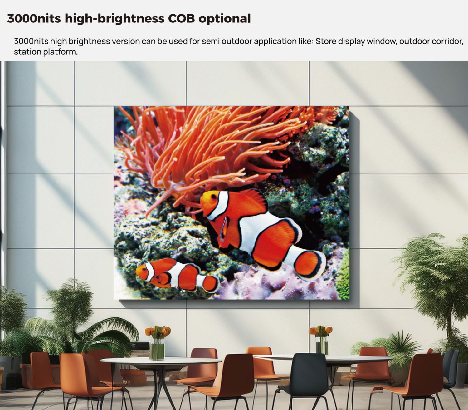 3000nits high-brightness COB optional